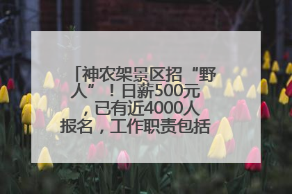 神农架景区招“野人”!日薪500元,已有近4000人报名,工作职责包括“接受游客投喂”
