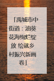 禹城市中街道：油葵花海绚烂绽放 绘就乡村振兴新画卷