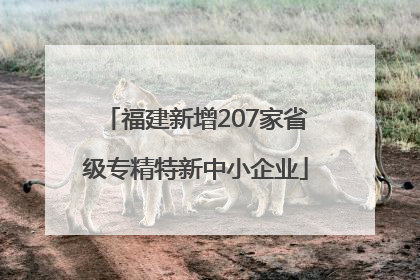 福建新增207家省级专精特新中小企业