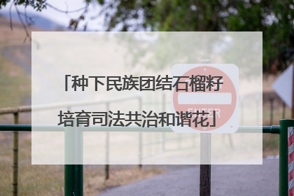 种下民族团结石榴籽 培育司法共治和谐花