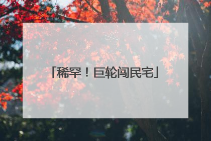 稀罕！巨轮闯民宅