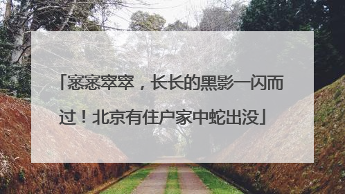 窸窸窣窣，长长的黑影一闪而过！北京有住户家中蛇出没