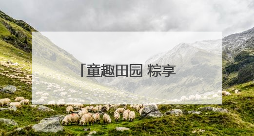 童趣田园 粽享端午｜兴业银行盐城分行举办六一亲子嘉年华活动