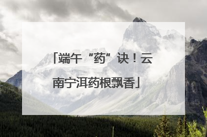端午“药”诀！云南宁洱药根飘香