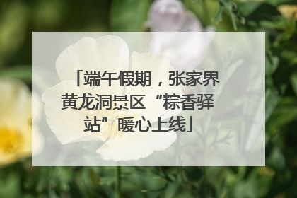 端午假期，张家界黄龙洞景区“粽香驿站”暖心上线