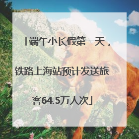 端午小长假第一天，铁路上海站预计发送旅客64.5万人次