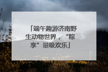 端午趣游济南野生动物世界，“粽享”量级欢乐
