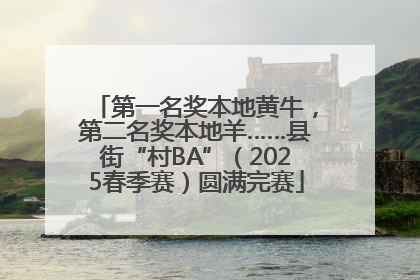 第一名奖本地黄牛，第二名奖本地羊……县街“村BA”（2025春季赛）圆满完赛