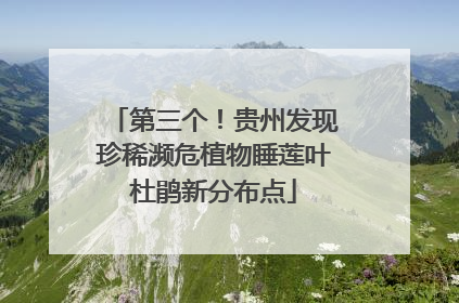 第三个！贵州发现珍稀濒危植物睡莲叶杜鹃新分布点