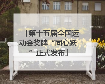 第十五届全国运动会奖牌“同心跃”正式发布