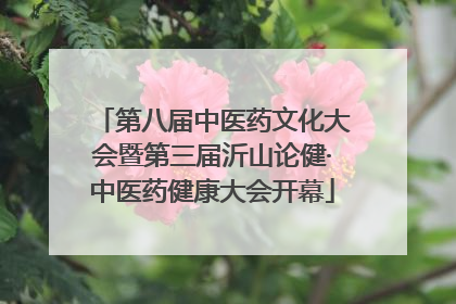 第八届中医药文化大会暨第三届沂山论健·中医药健康大会开幕