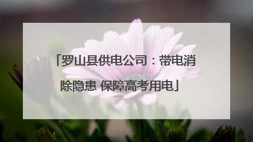 罗山县供电公司：带电消除隐患 保障高考用电