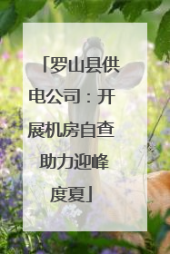 罗山县供电公司：开展机房自查 助力迎峰度夏