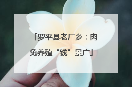 罗平县老厂乡：肉兔养殖“钱”景广