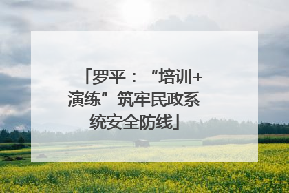 罗平：“培训+演练”筑牢民政系统安全防线