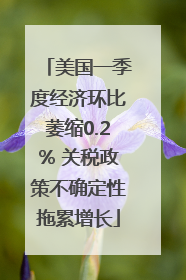 美国一季度经济环比萎缩0.2% 关税政策不确定性拖累增长