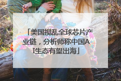 美国搅乱全球芯片产业链，分析师称中国AI生态有望出海