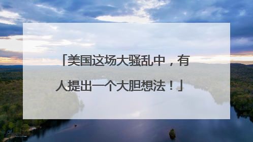 美国这场大骚乱中，有人提出一个大胆想法！