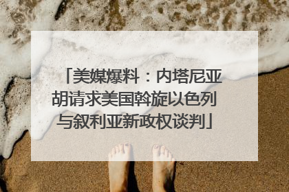 美媒爆料：内塔尼亚胡请求美国斡旋以色列与叙利亚新政权谈判