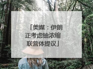 美媒：伊朗正考虑铀浓缩联营体提议