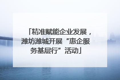 精准赋能企业发展，潍坊潍城开展“惠企服务基层行”活动