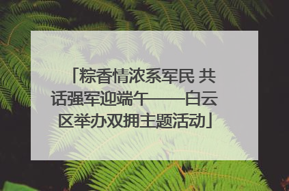 粽香情浓系军民 共话强军迎端午——白云区举办双拥主题活动