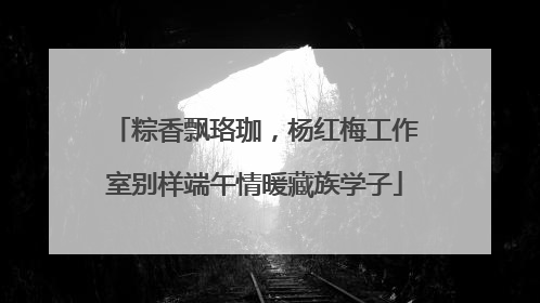 粽香飘珞珈，杨红梅工作室别样端午情暖藏族学子