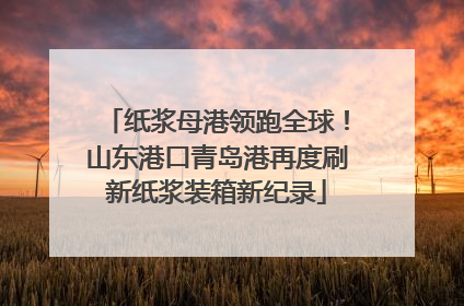 纸浆母港领跑全球！山东港口青岛港再度刷新纸浆装箱新纪录