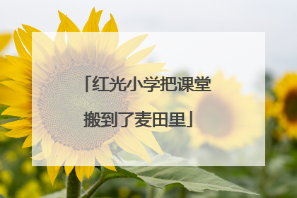 红光小学把课堂搬到了麦田里