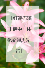 红评五溪丨鹤中一体化交通需先行