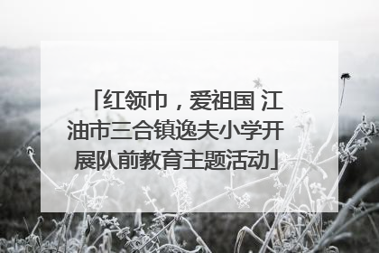 红领巾，爱祖国 江油市三合镇逸夫小学开展队前教育主题活动