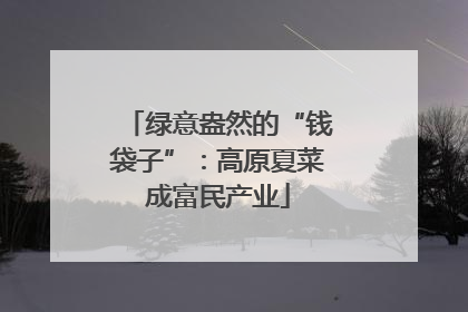 绿意盎然的“钱袋子”：高原夏菜成富民产业