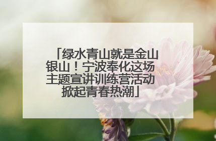 绿水青山就是金山银山！宁波奉化这场主题宣讲训练营活动掀起青春热潮
