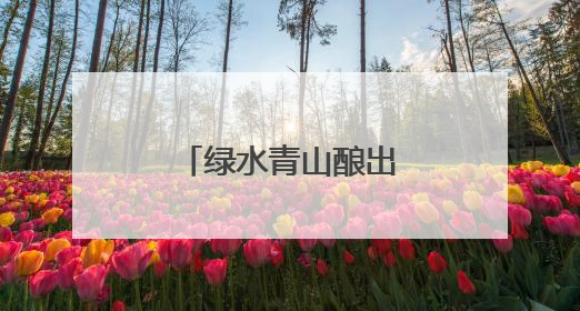 绿水青山酿出“幸福蜜”