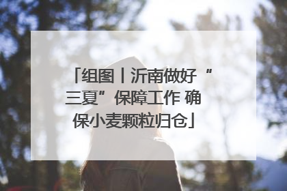 组图丨沂南做好“三夏”保障工作 确保小麦颗粒归仓
