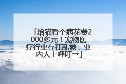给猫看个病花费2000多元！宠物医疗行业存在乱象，业内人士呼吁→