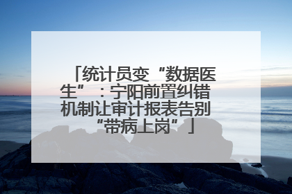 统计员变“数据医生”：宁阳前置纠错机制让审计报表告别“带病上岗”