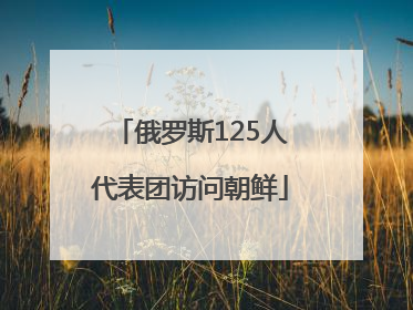 俄罗斯125人代表团访问朝鲜
