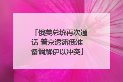 俄美总统再次通话 普京透露俄准备调解伊以冲突