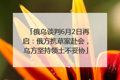 俄乌谈判6月2日再启：俄方携草案赴会，乌方坚持领土不妥协
