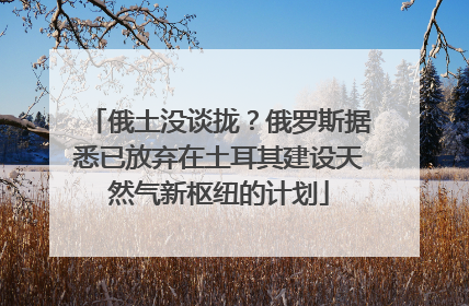 俄土没谈拢？俄罗斯据悉已放弃在土耳其建设天然气新枢纽的计划