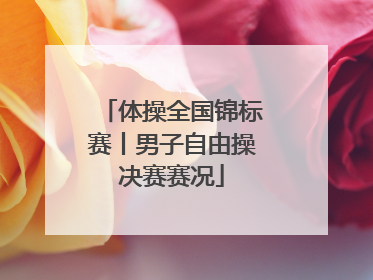 体操全国锦标赛丨男子自由操决赛赛况