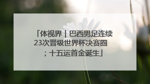 体视界｜巴西男足连续23次晋级世界杯决赛圈；十五运首金诞生