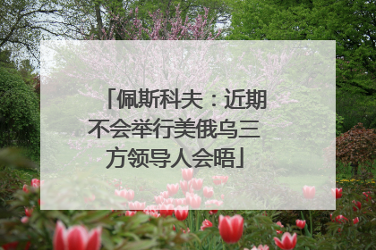 佩斯科夫：近期不会举行美俄乌三方领导人会晤