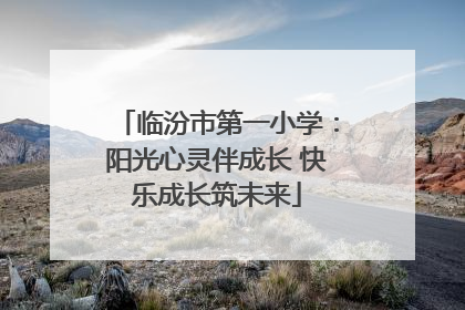 临汾市第一小学：阳光心灵伴成长 快乐成长筑未来