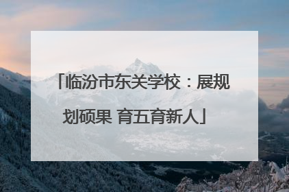 临汾市东关学校：展规划硕果 育五育新人