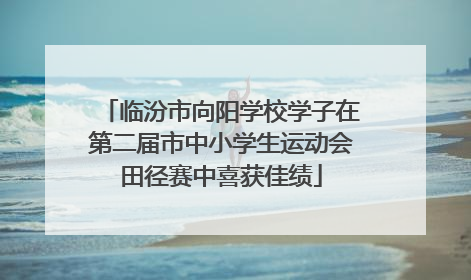 临汾市向阳学校学子在第二届市中小学生运动会田径赛中喜获佳绩