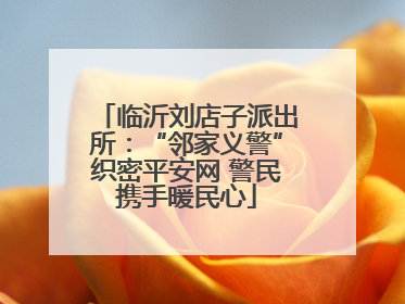 临沂刘店子派出所：“邻家义警”织密平安网 警民携手暖民心
