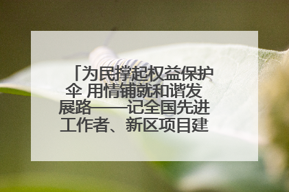 为民撑起权益保护伞 用情铺就和谐发展路——记全国先进工作者、新区项目建设中心干部卢小勇