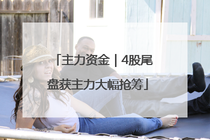 主力资金｜4股尾盘获主力大幅抢筹